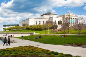 Chicago Shedd Aquarium