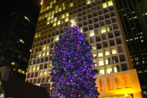 11122806186 b3e5aa4aba k min