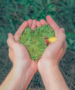 Sustainability 1000x1200 2